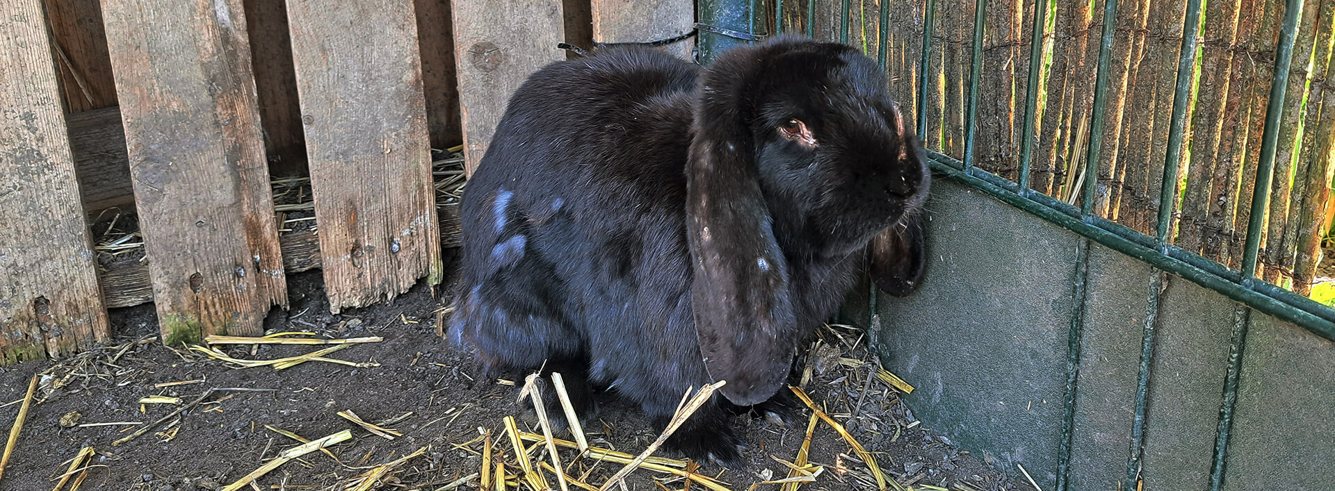 Nieuws & Activiteiten